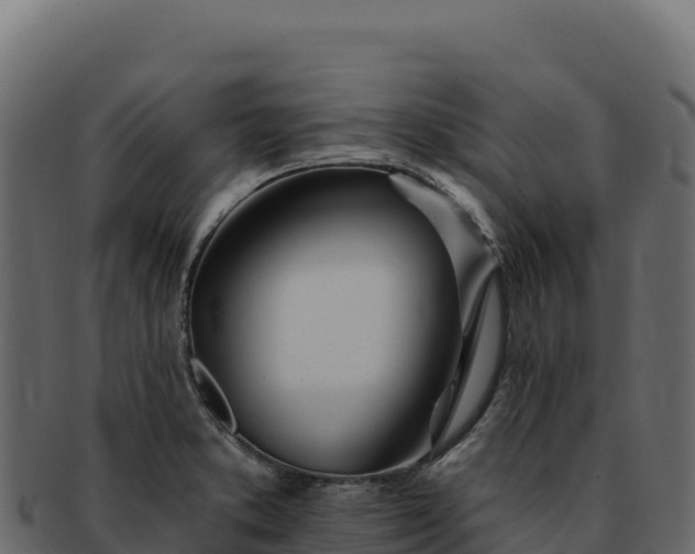 X0000092301373200710041439