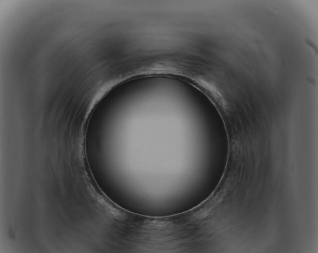 X0000092301374200710041439