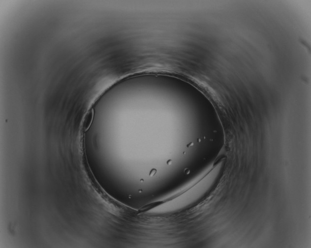 X0000092301375200710041439