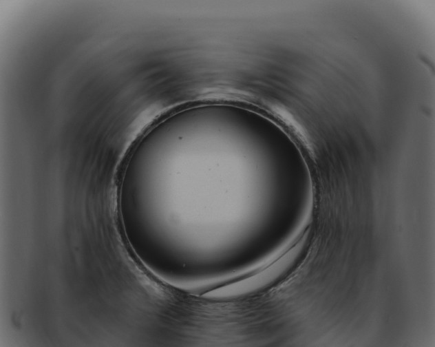 X0000092301376200710041439