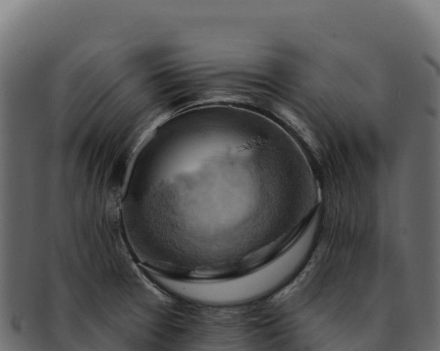 X0000092301377200710041439