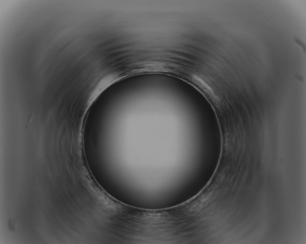 X0000092301378200710041439