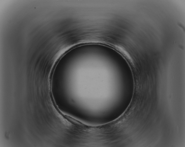 X0000092301380200710041439