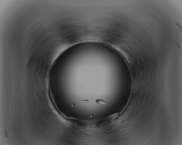 X0000092301383200710041439