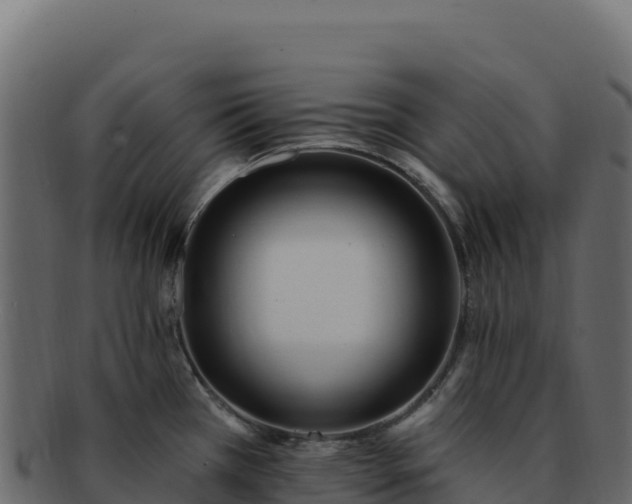 X0000092301385200710041439