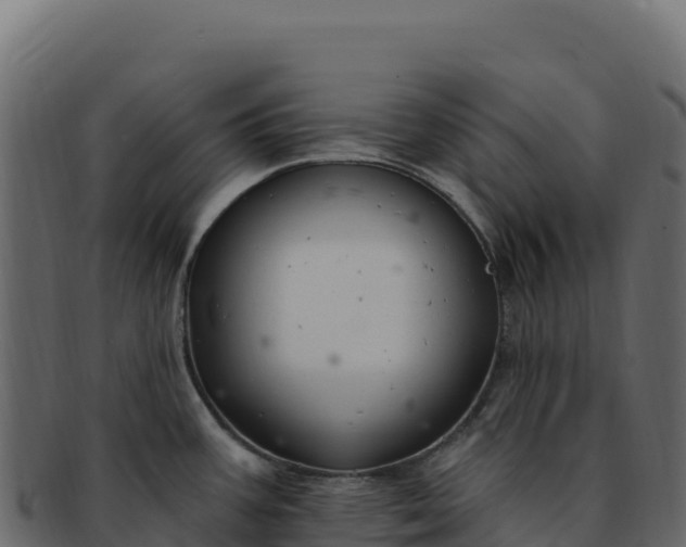 X0000092301387200710041439