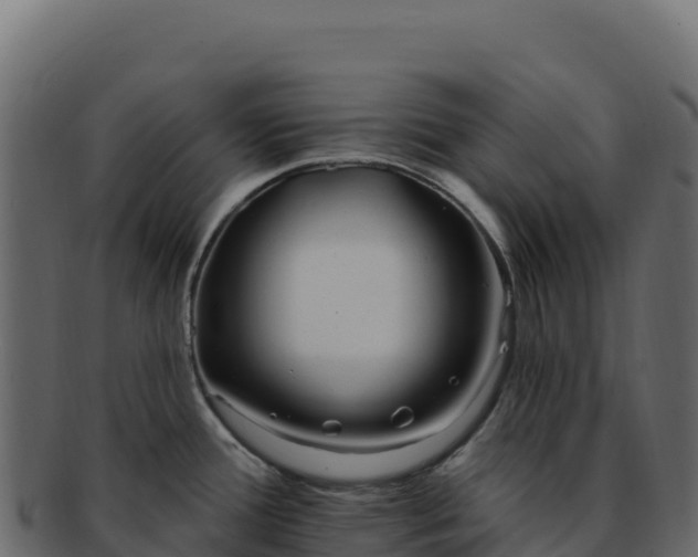 X0000092301388200710041439