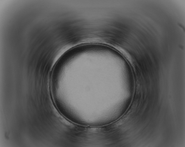 X0000092301390200710041439