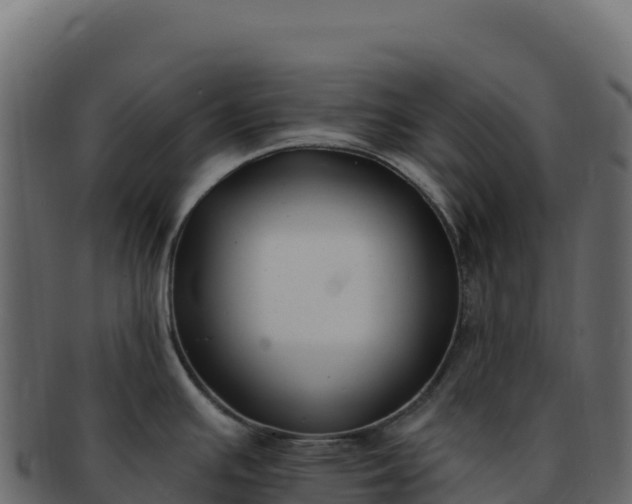 X0000092301391200710041439