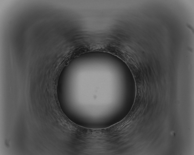 X0000092301393200710041439