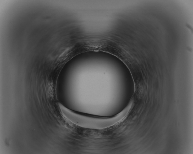 X0000092301394200710041439