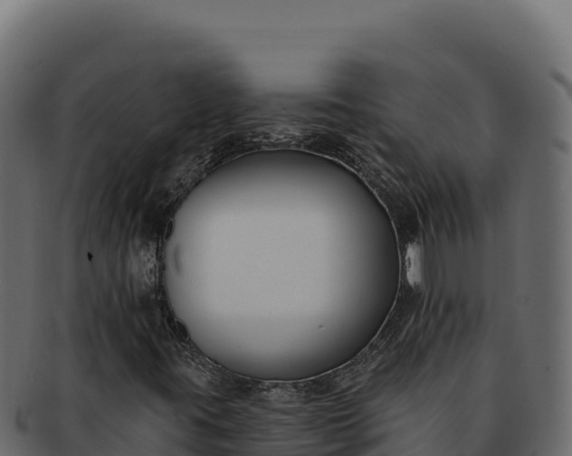 X0000092301395200710041439