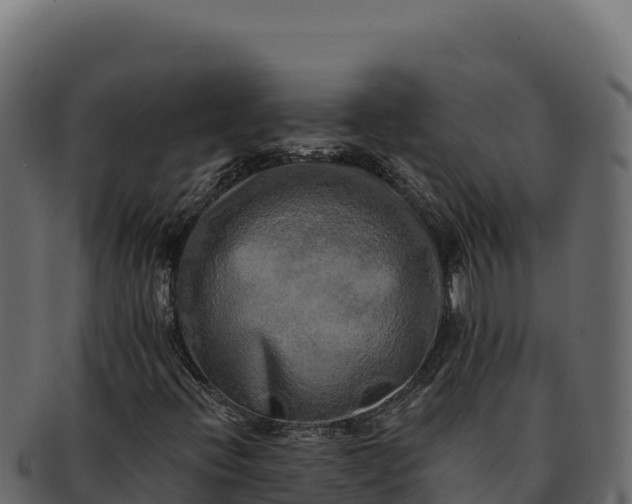 X0000092301396200710041439