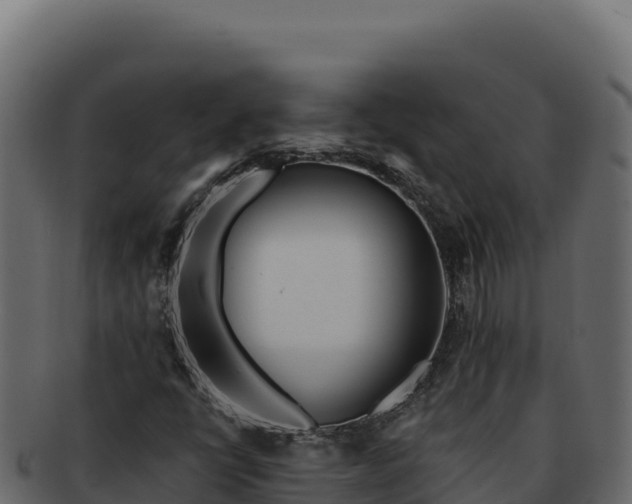 X0000092301398200710041439