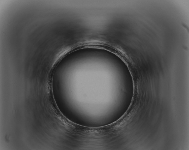 X0000092301405200710041439