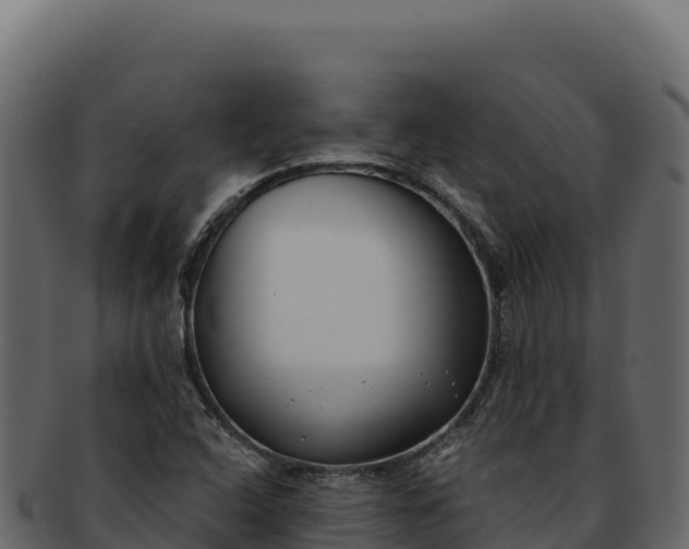 X0000092301408200710041439