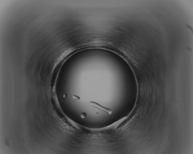 X0000092301410200710041439