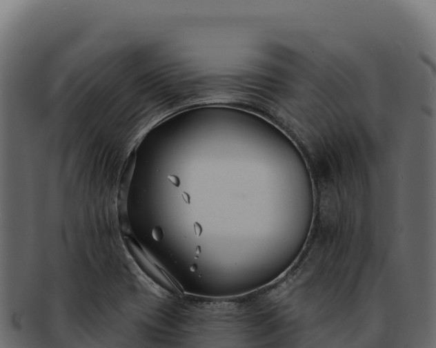 X0000092301417200710041439