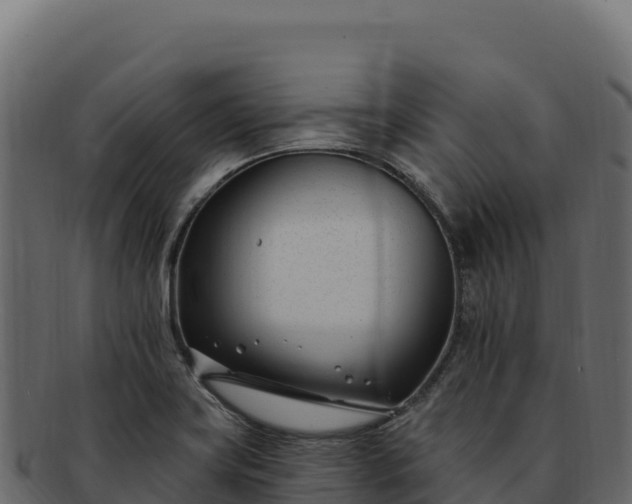 X0000092301419200710041439