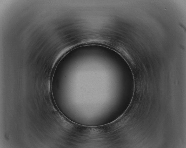 X0000092301420200710041439