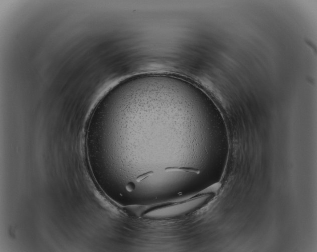 X0000092301421200710041439