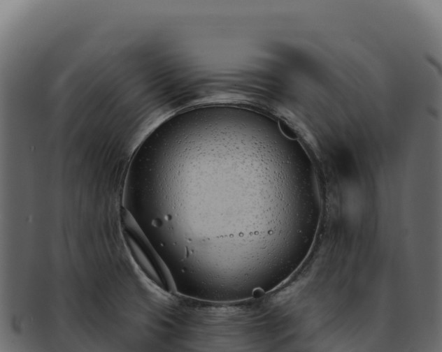 X0000092301425200710041439