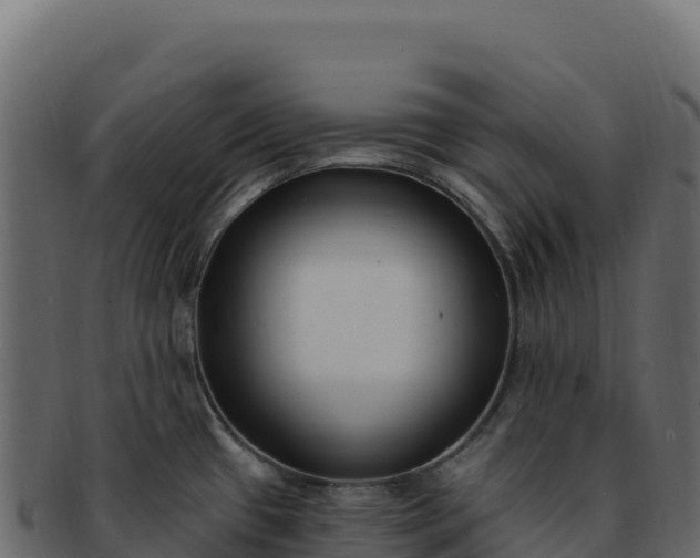 X0000092301433200710041439