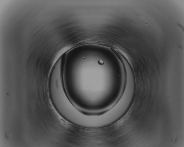 X0000092301434200710041439