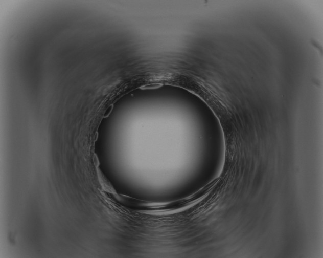 X0000092301441200710041439