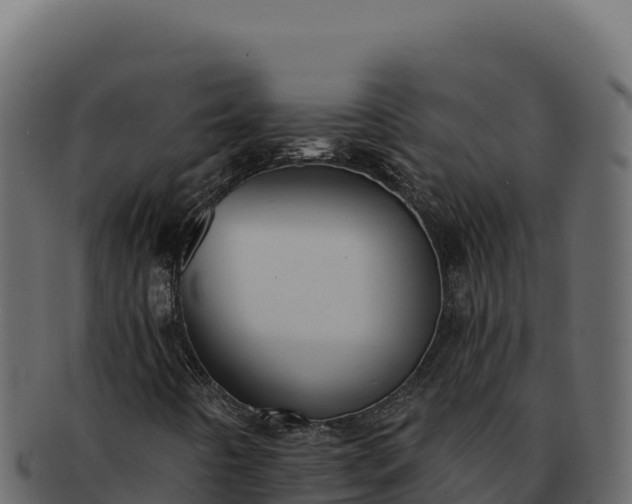 X0000092301442200710041439