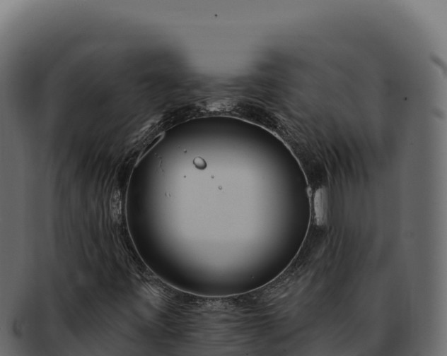 X0000092301443200710041439