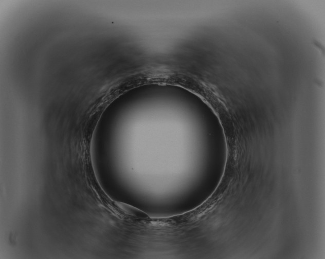 X0000092301445200710041439