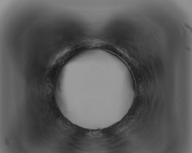 X0000092301447200710041439