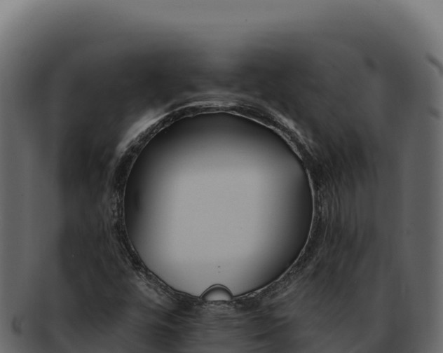 X0000092301448200710041439