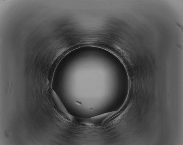 X0000092301449200710041439