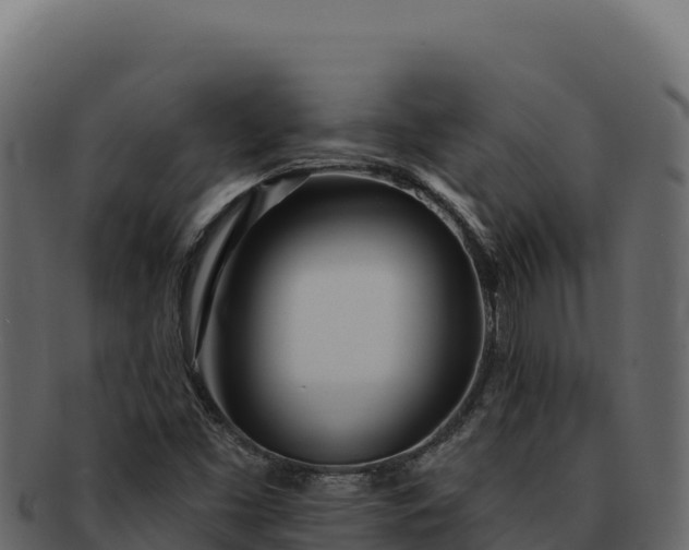 X0000092301453200710041439