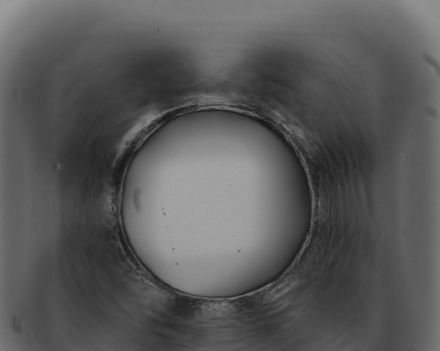 X0000092301454200710041439