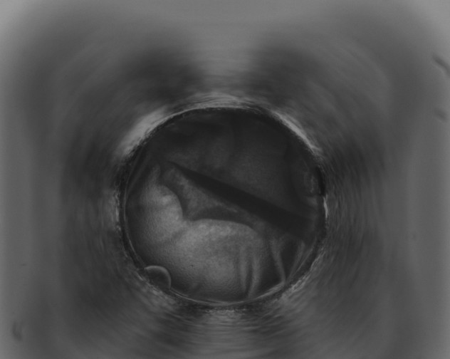 X0000092301455200710041439