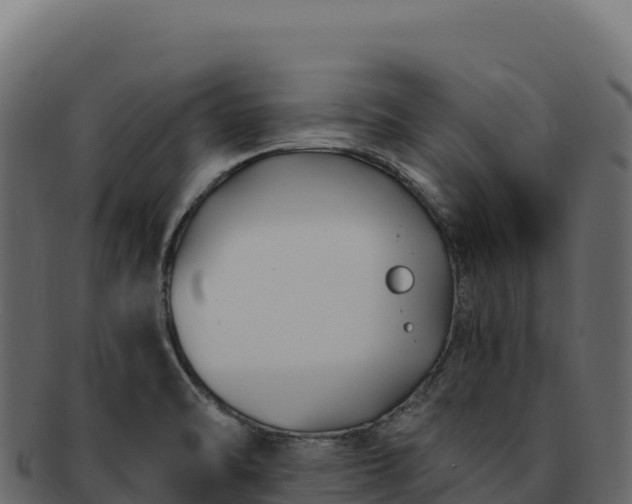 X0000092301470200710041438