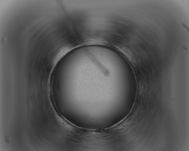 X0000092301471200710041438