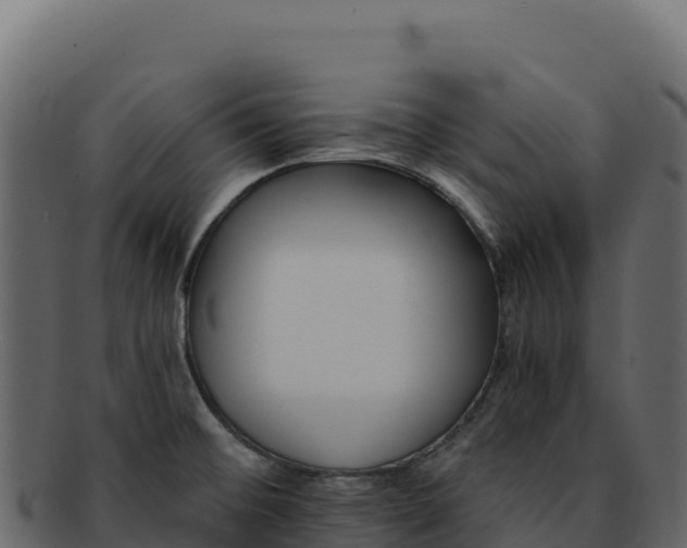 X0000092301476200710041438