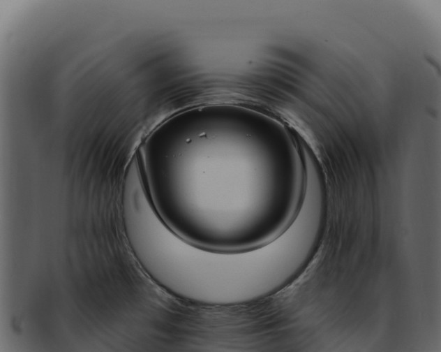 X0000092301481200710041438