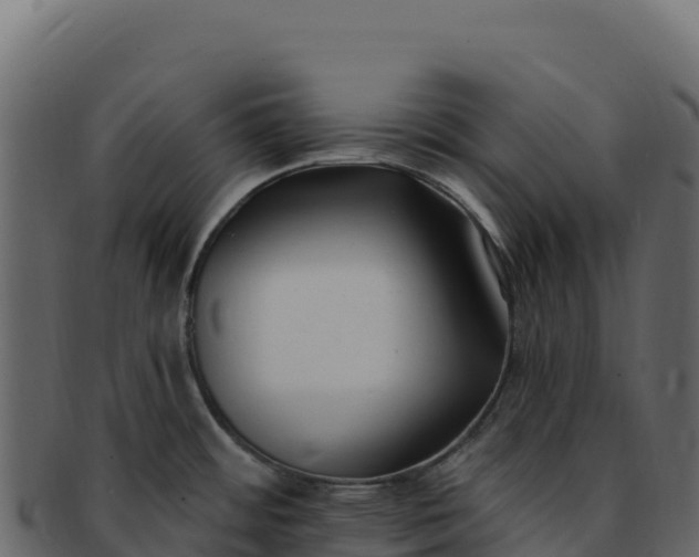 X0000092301484200710041438