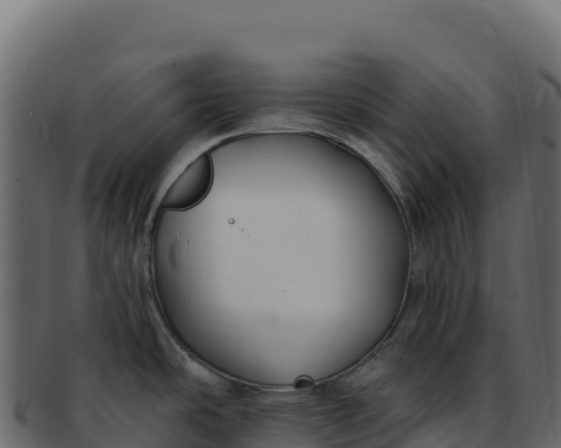 X0000092301486200710041438