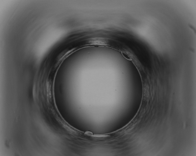 X0000092301487200710041438