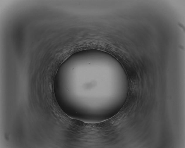 X0000092301489200710041438