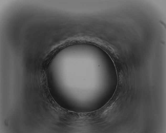 X0000092301494200710041438