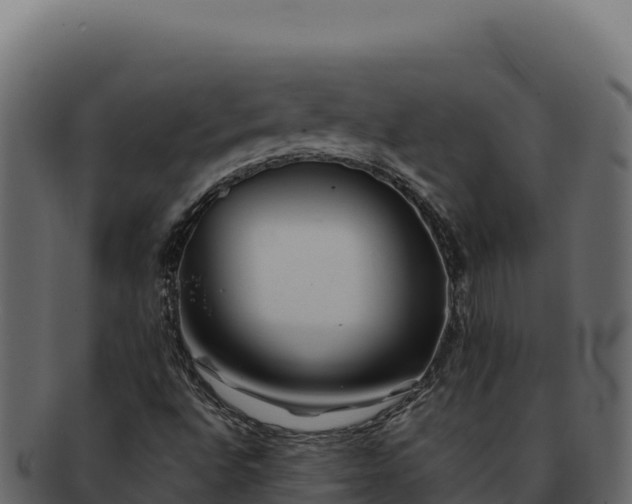 X0000092301496200710041438