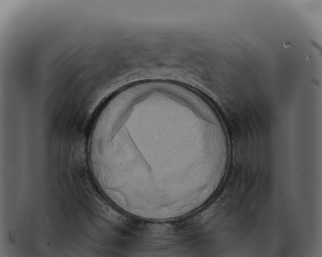 X0000092301498200710041438