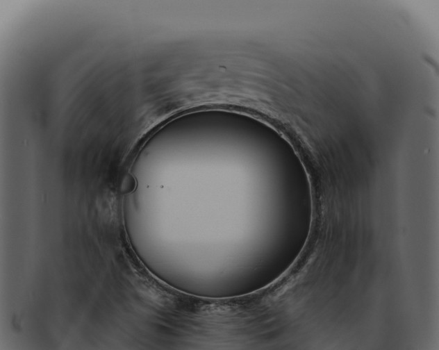 X0000092301505200710041438